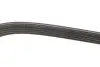 Ремінь генератора Suzuki Baleno 1.8 96-02 DAYCO 5DPK1550 (фото 2)