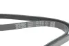 Ремінь генератора Hyundai Tucson 15-/i20/i30/i40/Accent/Kia Ceed/Rio 05-/Sportage 10- (5PK1810) DAYCO 5PK1810S (фото 4)