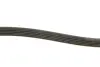 Ремінь генератора BMW 5 (E39)/7 (E38) 2.5TD/Kia Cerato 1.5-1.6CRDI 05- DAYCO 5PK1850 (фото 3)