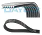 Ремінь 6PK1013 посилений CITROEN Jumper 2,5D/DT PEUGEOT Boxer DB RENAULT DAYCO 6PK1013HD (фото 1)