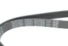 Ремінь генератора Citroen C3/C4/Peugeot 307 1.4-1.6HDi 02- (6PK1090) DAYCO 6PK1090EE (фото 4)