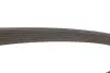 Ремінь генератора Citroen Jumper/Peugeot Boxer 2.0 94-/VW Caddy 1.4 04- (6PK1100) DAYCO 6PK1100S (фото 4)