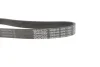 Ремінь генератора Skoda Octavia/VW Golf 1.6-2.0/1.9TDI 97-13/Passat B6/B7 1.8-2.0TSI/T5 1.9TDI 03-15 DAYCO 6PK1120S (фото 3)