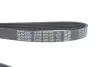 Ремінь генератора Citroen Berlingo/Peugeot Partner 1.6 HDi 05-15 DAYCO 6PK1341 (фото 4)