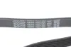 Ремінь генератора Opel Astra 1.7CDTi 03-/Renault Megane1.9 dCi 97-03 DAYCO 6PK1606 (фото 4)