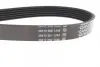 Ремінь генератора Jeep Wrangler 4.0 i 98-07 DAYCO 6PK1910 (фото 2)