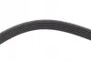Ремінь генератора Jeep Wrangler 4.0 i 98-07 DAYCO 6PK1910 (фото 4)