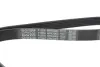 Ремінь генератора VW T4 2.4D/2.5 90-03 (PS) DAYCO 6PK2063 (фото 4)