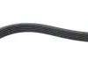 Ремінь генератора Toyota Corolla/Auris/Yaris 1.4 D 04-14 DAYCO 6PK966 (фото 3)
