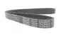Ремінь генератора VW Polo/Up 11-/Skoda Fabia 14-/Seat Ibiza 1.0/1.6 15- (6PK989) DAYCO 6PK989EE (фото 3)
