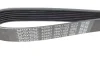Ремінь генератора BMW 3 (E90)/Opel Movano 2.0i/2.5DTI 03- DAYCO 7PK1103 (фото 4)