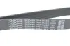 Ремінь поліклиновий DAYCO 7PK1165S (фото 4)