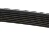 Ремінь генератора Renault Kangoo/Megane III/Scenic III 1.2TCe 12- DAYCO 7PK1569 (фото 3)