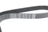 Ремінь генератора Renault Megane/Scenic 1.4 09-/Honda Accord/CR-V 2.2 i-CTDi 04- DAYCO 7PK1784 (фото 3)