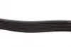Ремінь генератора Toyota Prado 3.0 D-4D 02-10 DAYCO 7PK1809 (фото 2)