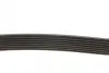 Ремінь генератора BMW 3(E90) 335i 06-11 DAYCO 7PK1853 (фото 2)