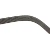 Ремень генератора Land Rover Discovery/Range Rover 2.5 Td5/3.9-4.6 93-04 DAYCO 7PK1870 (фото 3)