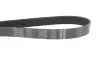 Ремінь генератора VW Touareg 4.2 V8 02-06 DAYCO 7PK2365 (фото 4)