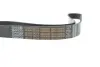 Ремінь генератора MB SLR (R199) 04- M155 (8PK1240) DAYCO 8PK1240HD (фото 4)