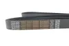 Ремінь генератора MB Vario 4.2/4.3 OM904 96-13 (+AC) (8PK2085) DAYCO 8PK2085HD (фото 4)