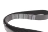Ремінь генератора BMW X1 (F48)/X2 (F39) 1.5 hybrid 20- B38 (8PK954) Dayco 8PK954H (фото 4)