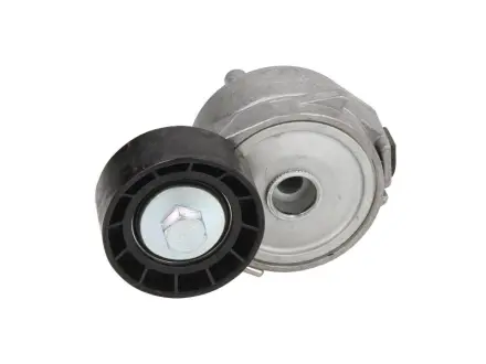 Натяжник ременя генератора Citroen Berlingo/C4/Peugeot 307 1.6 16V 08- DAYCO APV2556 (фото 1)