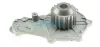 DAYCO CITROEN помпа води Berlingo, C2, C3, C4 1.6HDI, FIAT Scudo, FORD Fiesta, Focus 1.6TDCI DP077