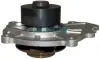 DAYCO CHEVROLET помпа води Lacetti,Captiva,Opel Antara 2.0D DP231