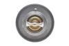 FORD термостат t-88C Mondeo 00-, Transit, Citroen Jumper 06 Dayco DT1016V (фото 4)
