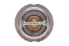 Термостат VW Passat 2.0TFSI 05-12/Audi A4/A5 1.8/2.0TFSI 09-15 (95 °C) Dayco DT1031V (фото 4)