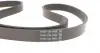 Комплект поликлинових ременів (з роликами) FORD C-MAX II, FOCUS III, FOCUS IV, GRAND C-MAX, KUGA II, MONDEO V FORD USA EDGE 2.0D 09.14- DAYCO KPV419 (фото 2)