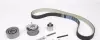 Комплект ГРМ Audi A3/A4/A6/Skoda Octavia/VW Golf V/Passat/Touran 2.0TDI 03- (30x141z) DAYCO KTB441 (фото 2)