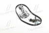 FORD К-т ГРМ (ремень+ ролик +помпа+ крепление + прокладка) B-MAX, C-MAX II, FIESTA V, MAZDA, VOLVO DAYCO KTBWP4610 (фото 1)