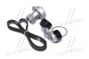 Комплект ГРМ + помпа Daewoo Nubira/Chevrolet Aveo/Lacetti 1.4/1.6 97- (25,4x127z) DAYCO KTBWP5590 (фото 4)
