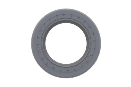 Сальник ПНВТ Delphi 7190-234-12B1