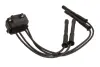 Котушка запалювання Renault Kangoo 1.2 16V 01- (к-кт) (+ проводи запалювання) Delphi CE20017-12B1 (фото 2)