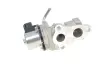 Клапан EGR TOYOTA AURIS, AVENSIS VERSO, PREVIA II, RAV 4 II, YARIS 1.3/1.33/2.0D 03.01-03.17 Delphi EG10439-12B1 (фото 2)