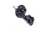 Амортизатор Denckermann DSB224G (фото 1)