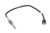 Електроніка DENSO DET-0104 (фото 1)