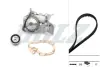 DOLZ RENAULT К-т ГРМ (помпа + ремінь + ролик) Logan,Kangoo,Megane 1.4,1.6 96- KD017