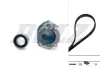 DOLZ FIAТ К-т ГРМ (помпа + ремень 125 зубцов + ролик) Doblo 1.2 KD091