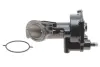 Насос вакуумний Ford Connect 1.8TDCi 02- DP Group BS 9310.1 (фото 1)