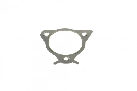 Прокладка насосу паливного Ford Connect 1.8Di/TDCI 02- DP Group ES 21417 ARI