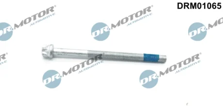 Болт з головкою системи TORX з чорного металу Dr.Motor DRM01065