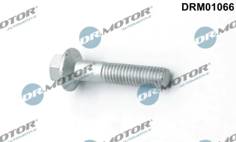 Болт з шестигранним шліцом з чорного металу Dr.Motor DRM01066