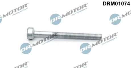Болт з головкою системи TORX з чорного металу Dr.Motor DRM01074