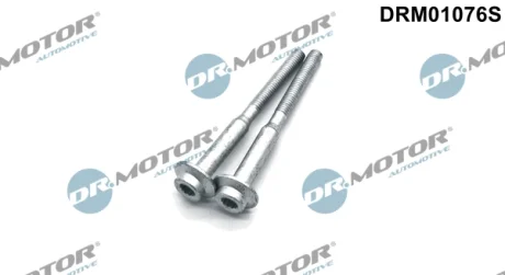 Комплект болтів з головкою системи TORX з чорного металу Dr.Motor DRM01076S