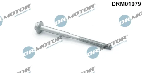 Болт з головкою системи TORX з чорного металу Dr.Motor DRM01079