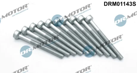 Комплект болтів з головкою системи TORX з чорного металу Dr.Motor DRM01143S