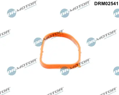 Кільце гумове DR.MOTOR DRM02541